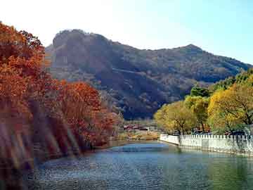 新澳天天开奖资料大全旅游团，虎鞭价格